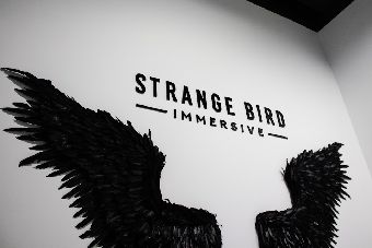 13. Strange Bird Immersive Escape Rooms